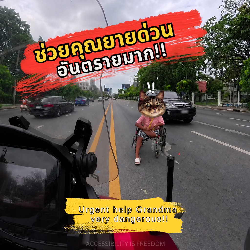 URGENT: Help This Grandmother at the Customs Department Intersection – Extremely Dangerous!!!